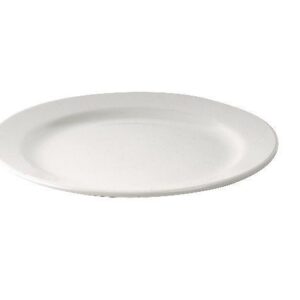 PLATO LLANO 22 CM POLICARBONATO